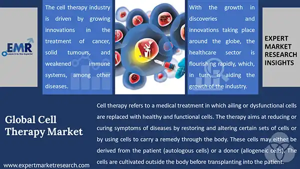 Global Cell Therapy Market