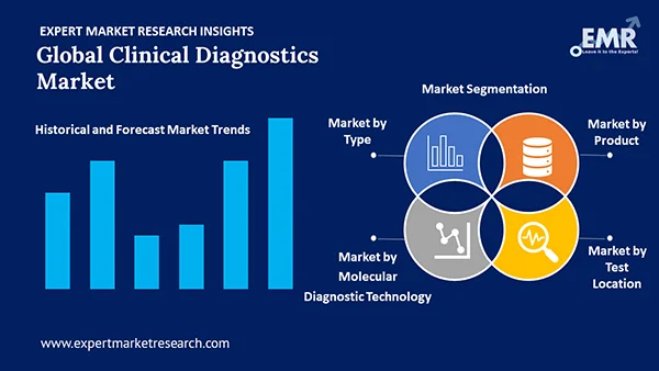 Global Clinical Diagnostics Market By Segment
