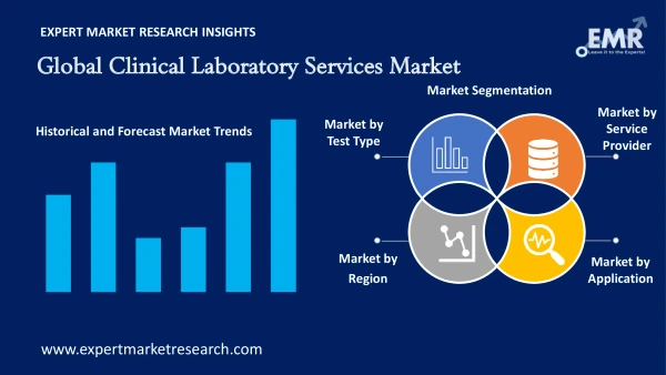 Global Clinical Laboratory Services Market by Segments