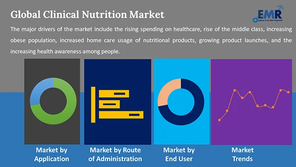 Global Clinical Nutrition Market By Segment