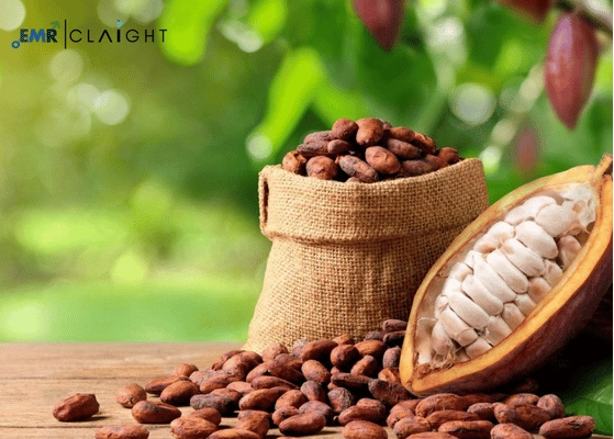 Global Cocoa Market