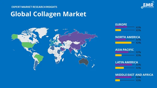 Global Collagen Market by Region
