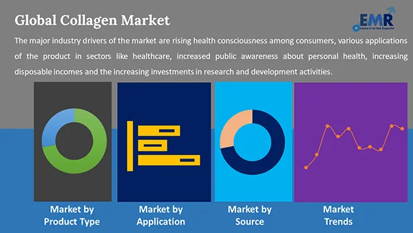 Global Collagen Market by Segment