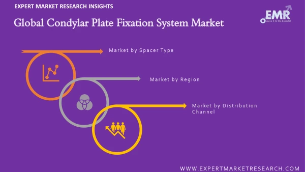 Global Condylar Plate Fixation System Market by Segments