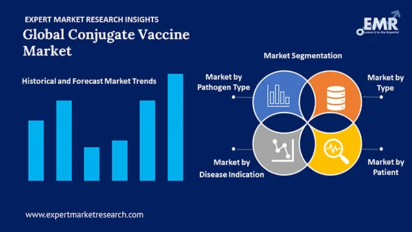 Global Conjugate Vaccine Market by Segment