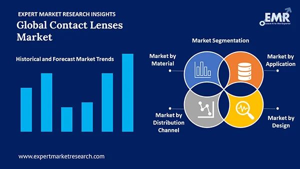 Global Contact Lenses Market By Segment