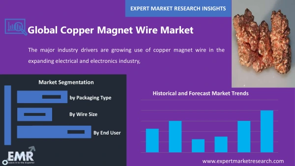 Global Copper Magnet Wire Market by Segments