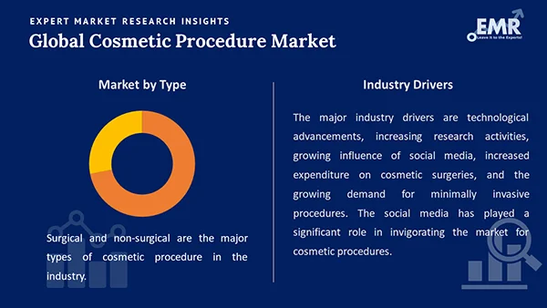 Global Cosmetic Procedure Market By Segment