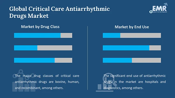 Global Critical Care Antiarrhythmic Drugs Market By Segment