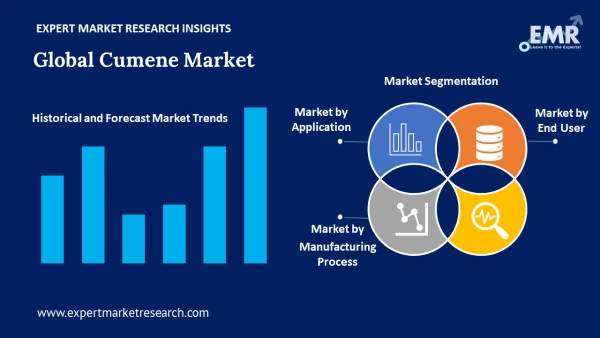 Global Cumene Market by Segments