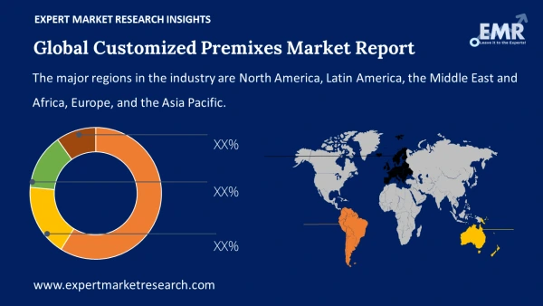 Global Customised Premixes Market by Region