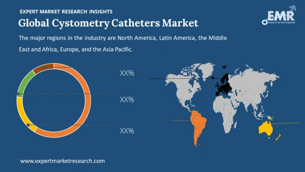 Global Cystometry Catheters Market by Region
