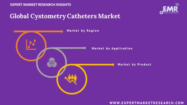 Global Cystometry Catheters Market by Segments