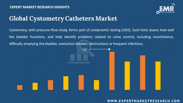 Global Cystometry Catheters Market