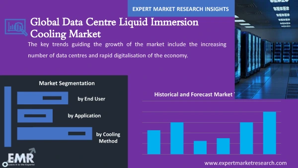 Global Data Centre Liquid Immersion Cooling Market by Segments