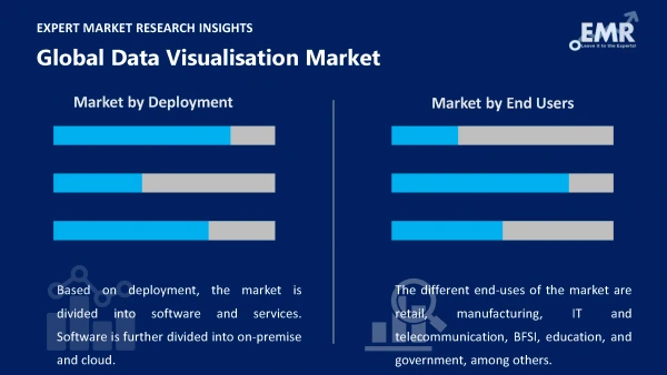 Global Data Visualisation Market by Segments