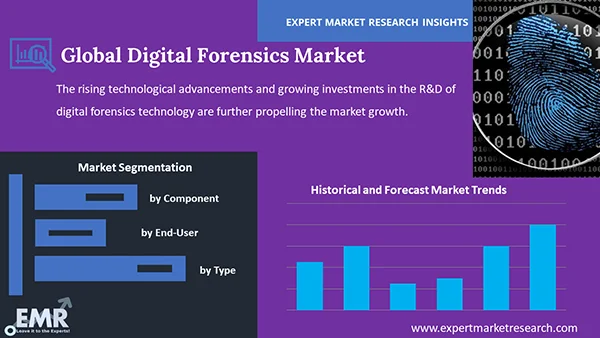 Global Digital Forensics Market Segment