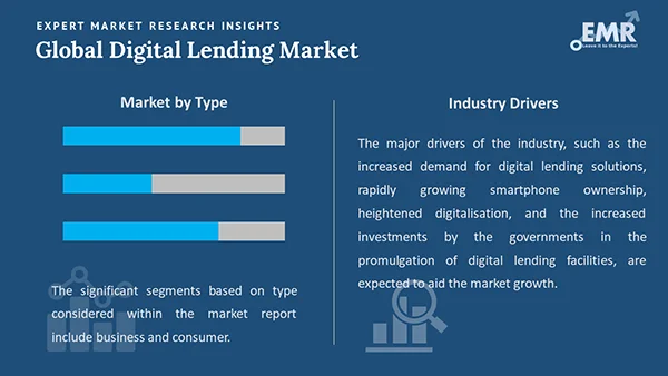 Global Digital Lending Market by Segment