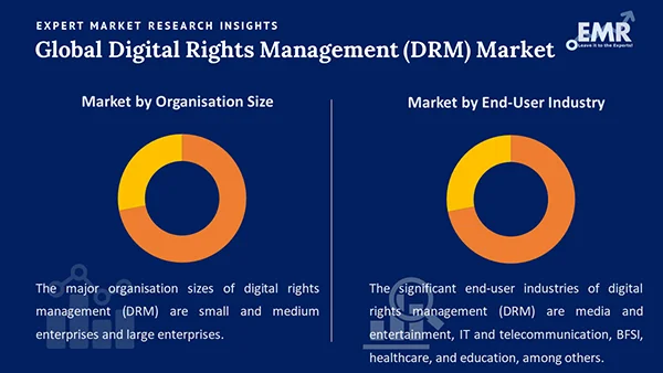 Global Digital Rights Management Drm Market By Segment