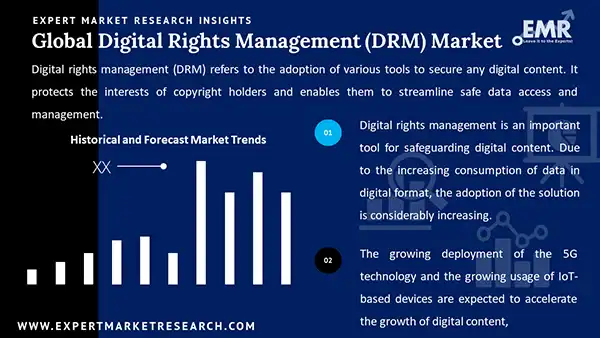 Global Digital Rights Management Drm Market