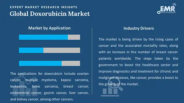 Global Doxorubicin Market by Segment