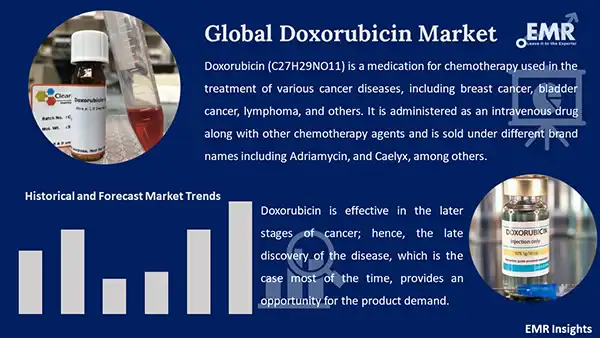 Global Doxorubicin Market