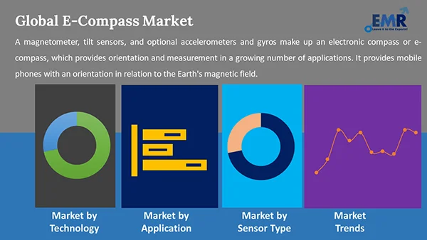 Global E Compass Market by Segment