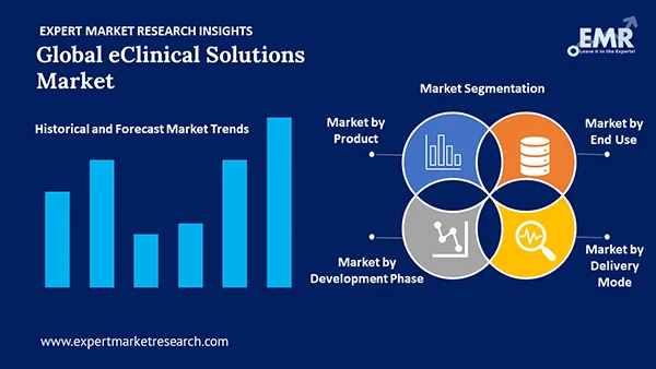 Global Eclinical Solutions Market by Segment