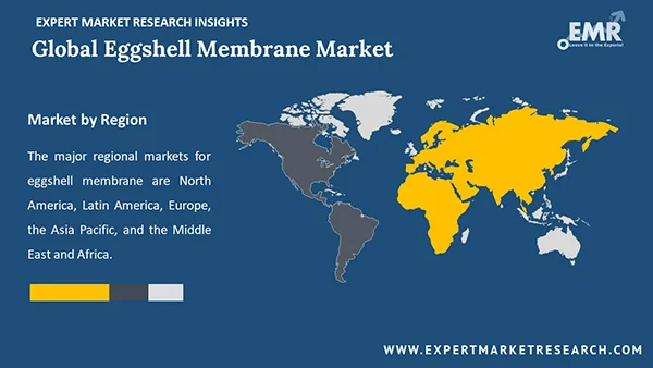 Global Eggshell Membrane Market by Region