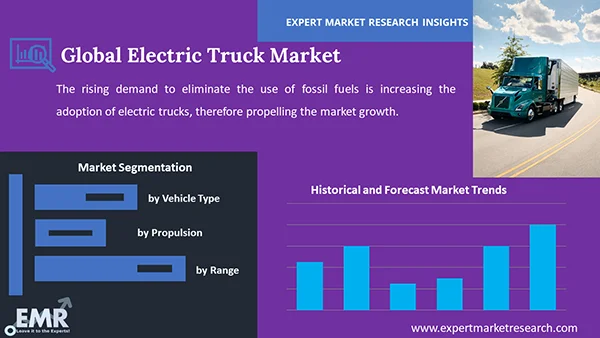 Global Electric Truck Market by Segment