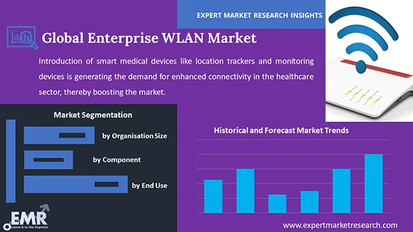 Global Enterprise WLAN Market by Segment
