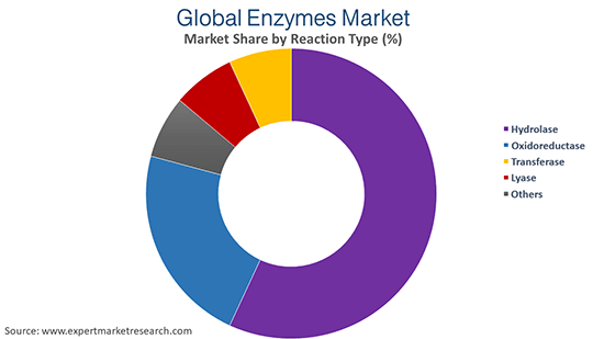 Global Enzymes Market By Reaction Type