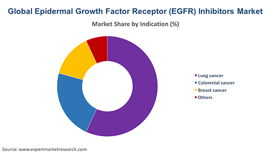 Global Epidermal Growth Factor Receptor (EGFR) Inhibitors Market by Indication