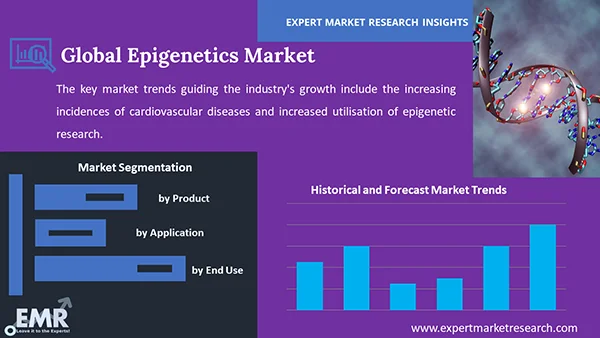 Global Epigenetics Market by Segment