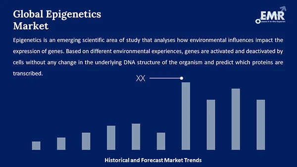 Global Epigenetics Market