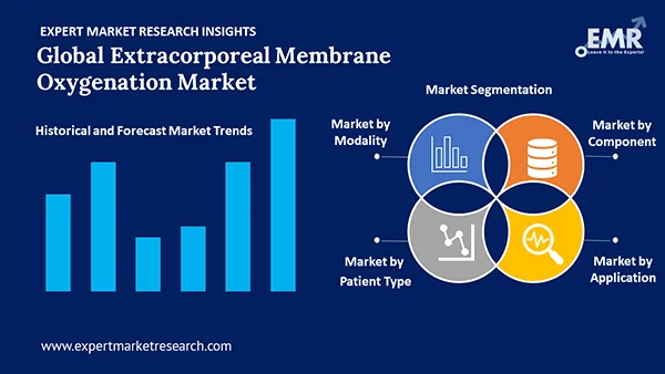 Global Extracorporeal Membrane Oxygenation Market by Segment