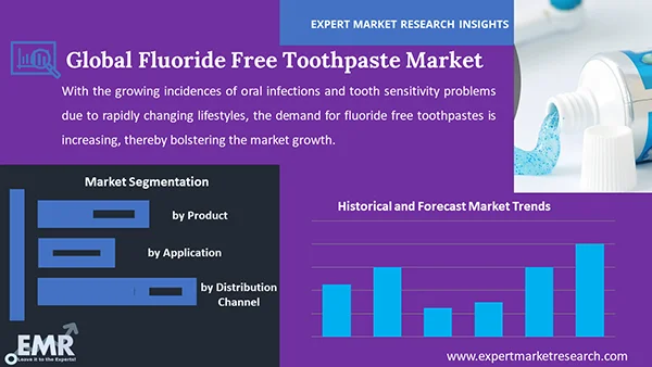 Global Fluoride Free Toothpaste Market by Segment