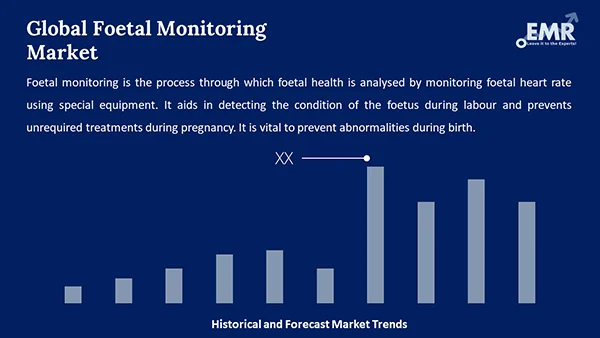 Global Foetal Monitoring Market