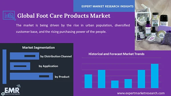 Global Foot Care Products Market by Segment