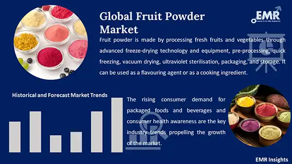 Global Fruit Powder Market