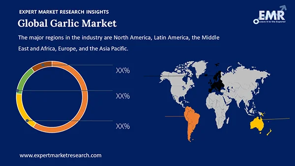 Global Garlic Market by Region