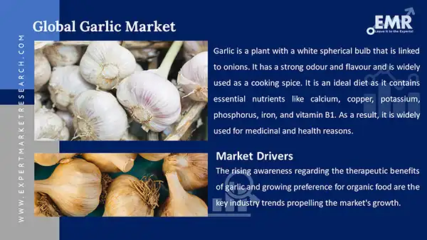 Garlic Market