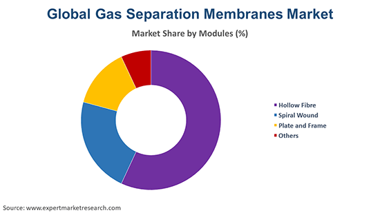 Global Gas Separation Membranes Market By Modules