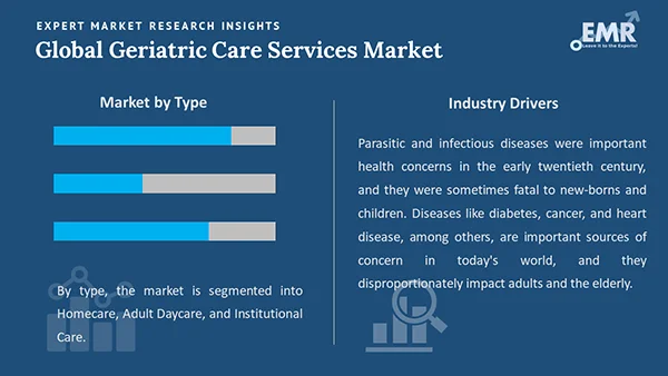 Global Geriatric Care Services Market by Segment