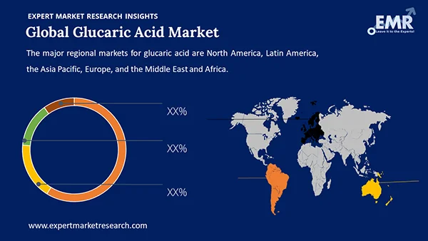Global Glucaric Acid Market by Region