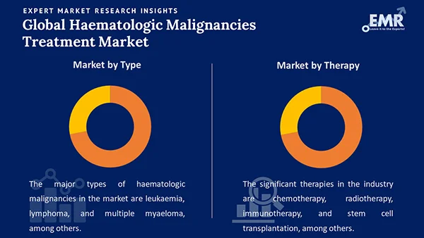 Global Haematologic Malignancies Treatment Market by Segment