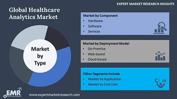 Global Healthcare Analytics Market by Segment