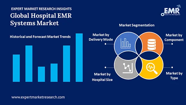Global Hospital EMR Systems Market by Segment