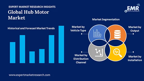 Global Hub Motor Market by Segment