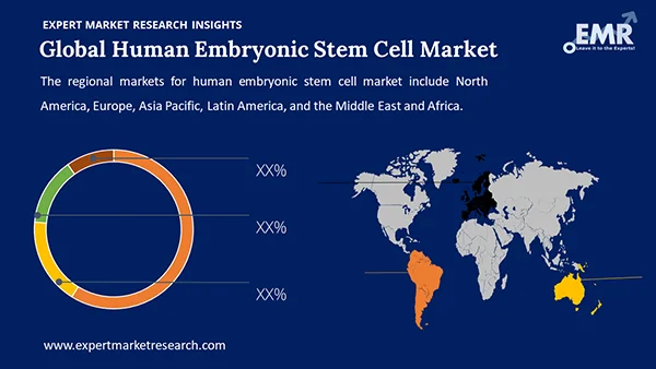 Global Human Embryonic Stem Cell Market by Region